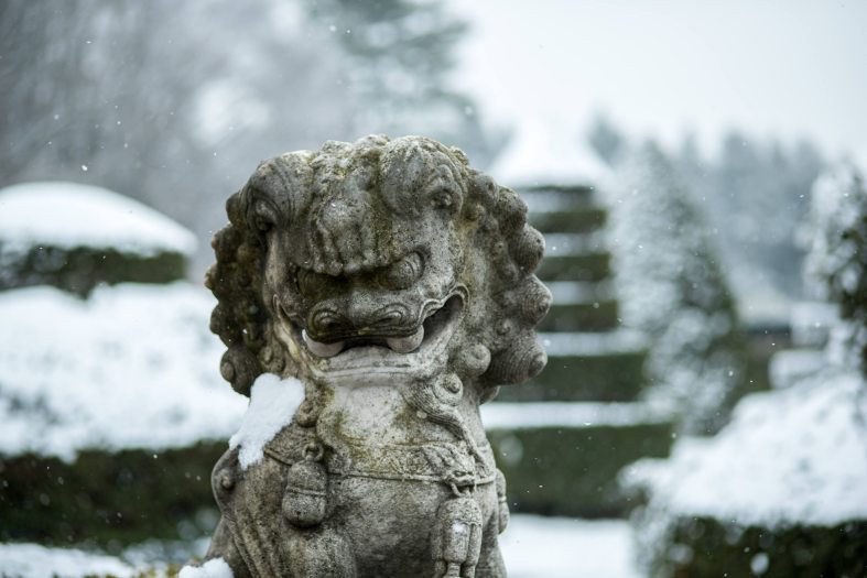A grey stone foo dog sculpture sits in front green topiary covered in white snow