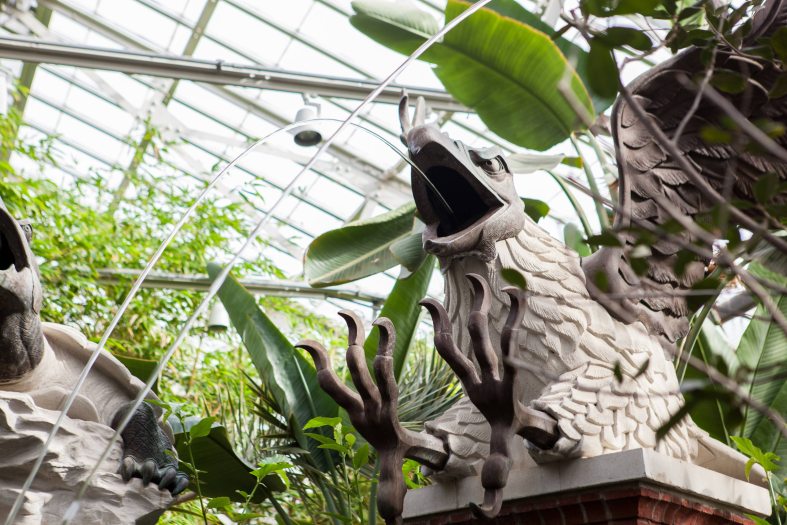 A stone eagle sculpture shoots water in a stream out of its mouth, surrounded by green plants under a glass conservatory