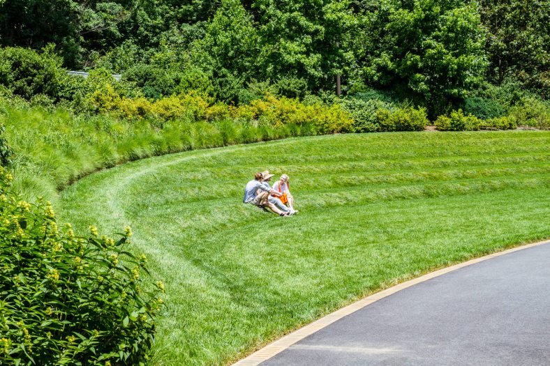 Two people sit along levels of freshly cut grass in the summer with green tress behind