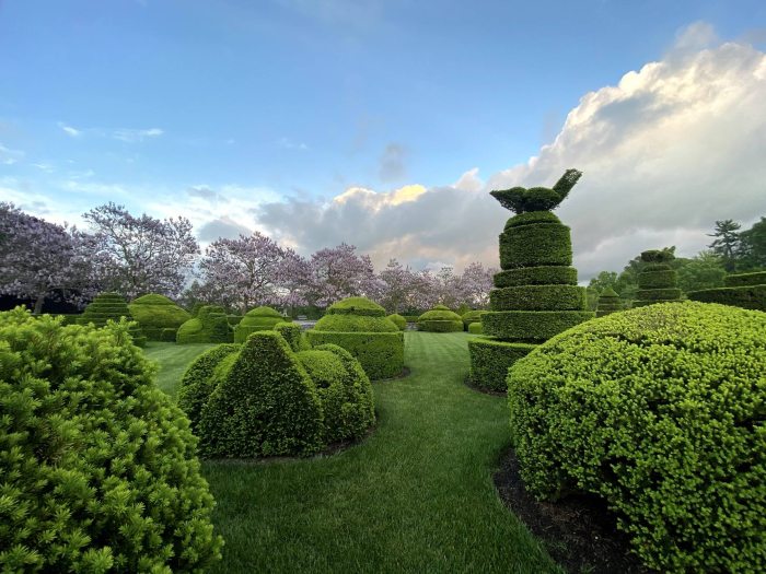 Lush green topiary in various shapes stand among each other in an area of green grass against a blue sky