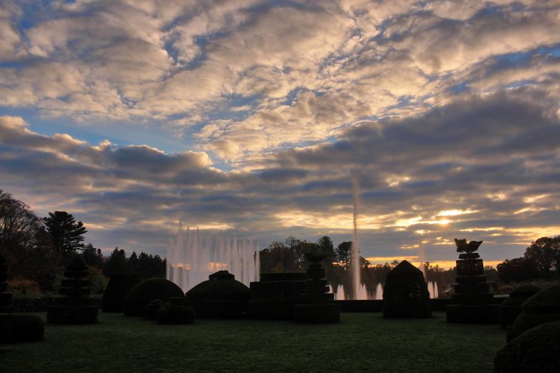 Silhouettes of topiary stand in front of tall fountains during a warm yellow summer sunset