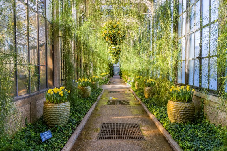 Acacia Passage | Longwood Gardens