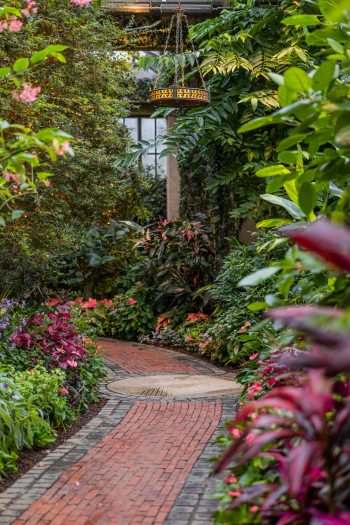 Luscious green and multi-color plants line a long brick pathway with decorative lamps hanging above