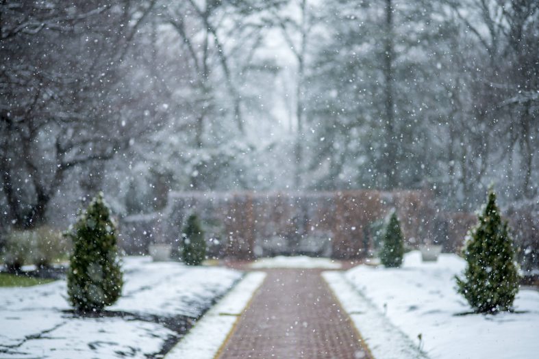 A brick path leads through snow-covered gardens with small green trees on the sides and a larger forest behind with snow falling down