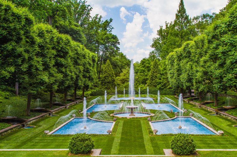 summer image of green lawn with five fountains