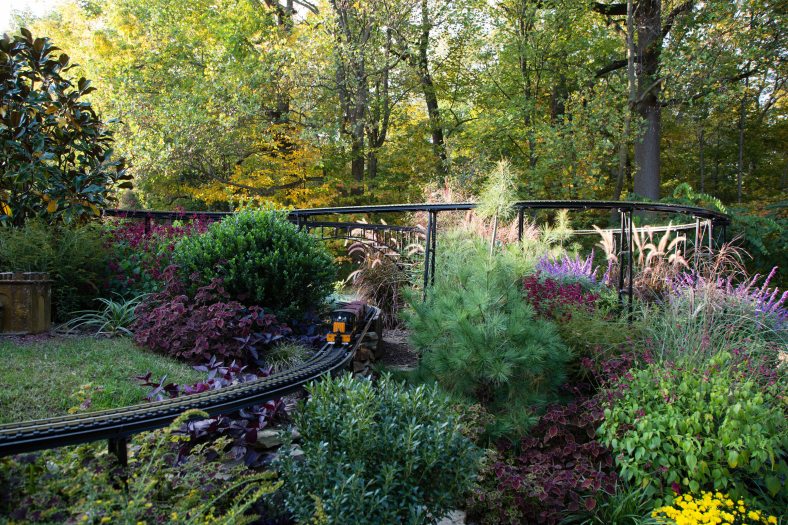 a miniature orange and black train engine pulls three coal cars on a track amid grasses, foliage, and purple flowers