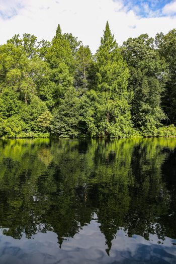 A row of green trees is reflected below in a large calm lake
