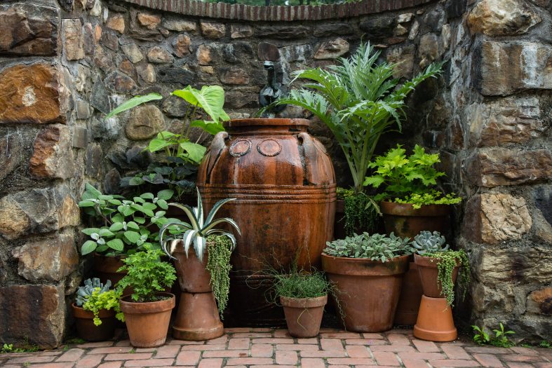 A collection of different size brown planters, each filled with green plants sits against a curved stone wall