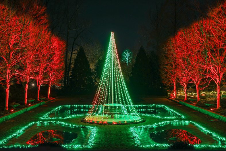Red and green christmas lights create a large tree-like design and line the pools of an outdoor water garden