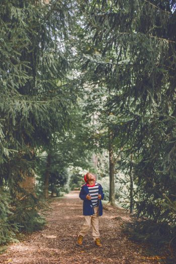 A small child stands on a wood chip path looking up at the large trees on either side of them