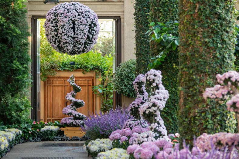 avender orbs and spiral chrysanthemum forms along a walkway flanked by vine-covered columns