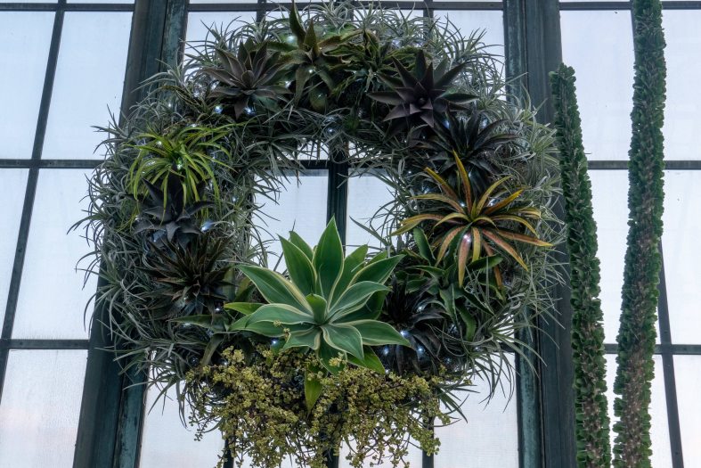 A large wreath made of green succulents and other desert plants hangs on the glass window of the Silver Garden