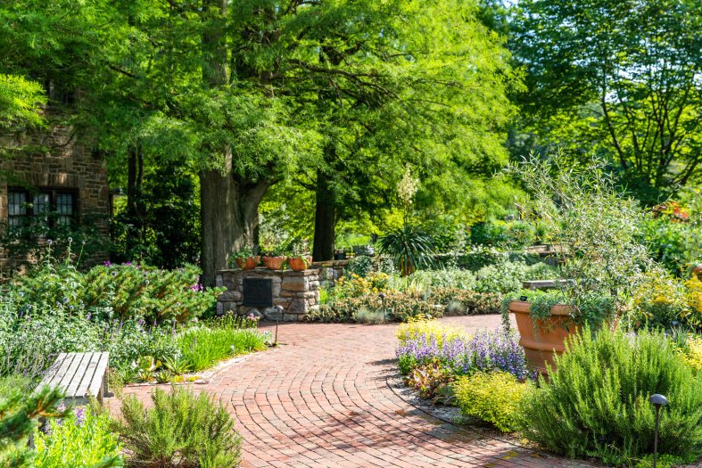 A brick walkway curves through garden beds full of green trees and large orange planters
