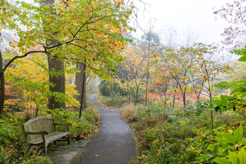 A wooden bench sits beside a long road through foggy trees of yellow, green, and orange