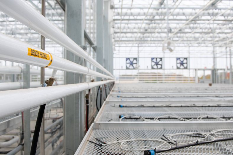 White pipes stand above empty metal growing tables in a greenhouse