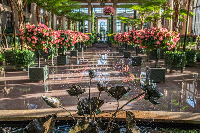A small metal fountain shaped like a lotus plant spouts water into the air in front of a large rectangular area covered in water and lined with pink flower baskets