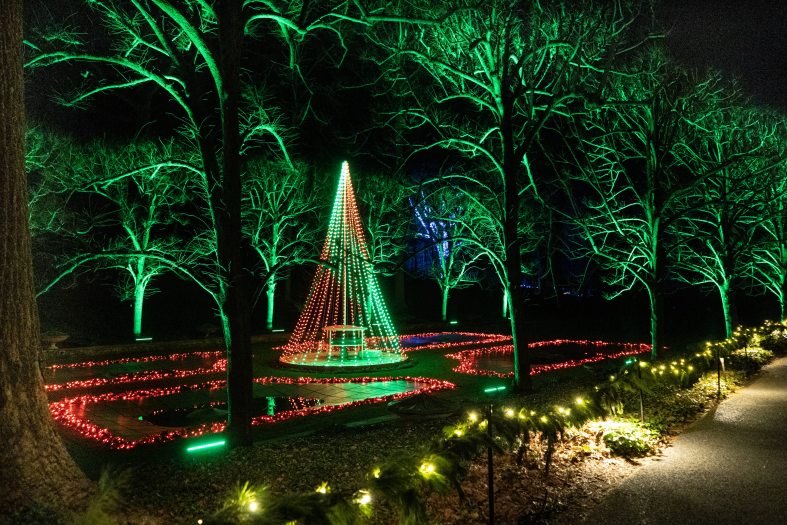 Yellow lights line a pathway right of a water garden adorned with red and green christmas lights creating a tree-like structure