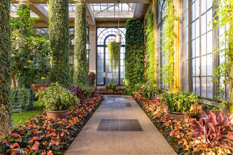 A stone walkway leads between two garden beds of red and green plants with a green hanging backset and curved window in the distance, all under a glass conservatory
