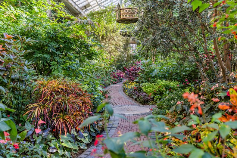 A stone path winds through a lush room of colorful plants with a hanging light above