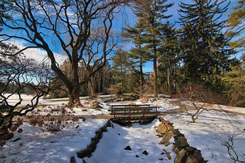 Snow covers the ground across a frozen stream bed, wooden bridge, and small area of trees 