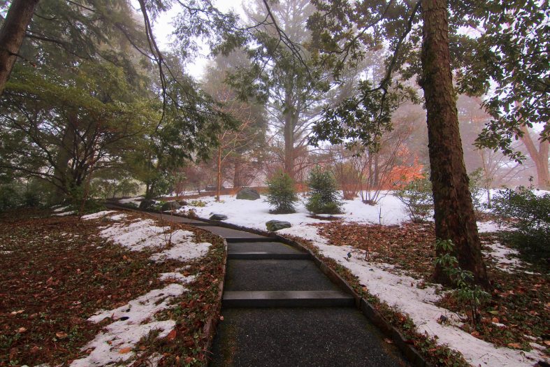 A stone path leads into a small wood with snow covering the ground on either side