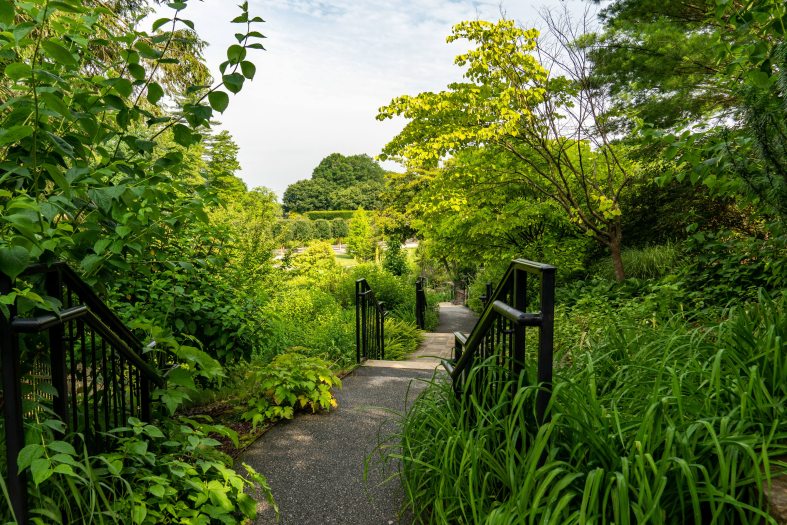 A stone walkway leads down a set of stairs through a lush green area of trees and plants
