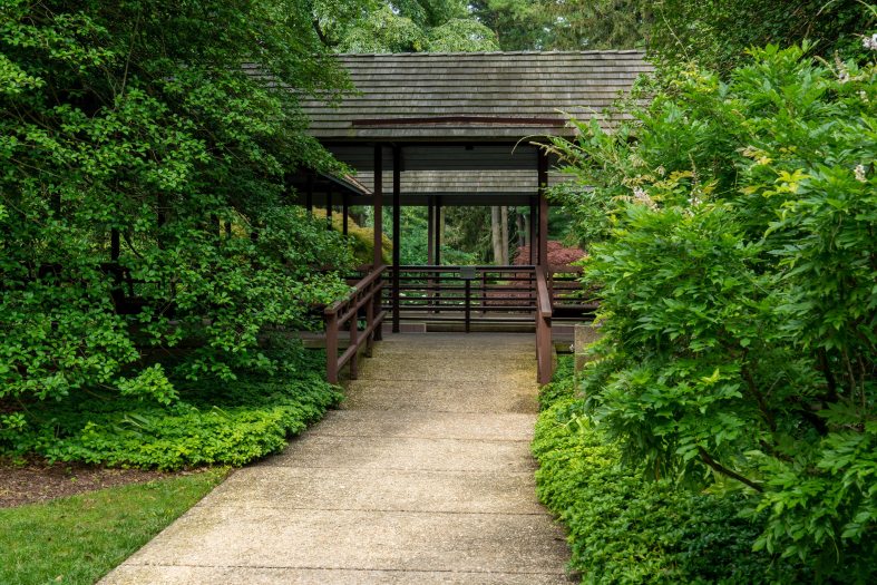 A path leads to a wooden structure sitting among green bushes and trees