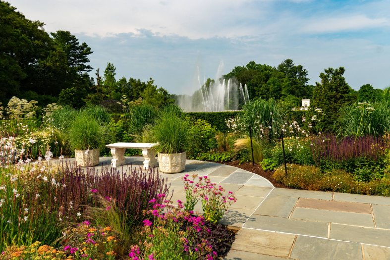 A stone walkway leades to a small bench among garden beds of yellow, pink, and green plants with large water fountain streams seen in the background