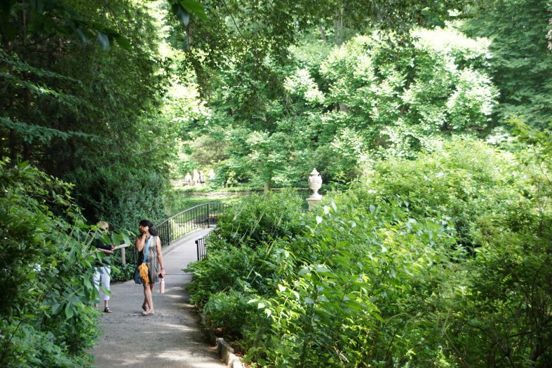 Two people walk along a pathway surrounded by green trees and white flowering plants