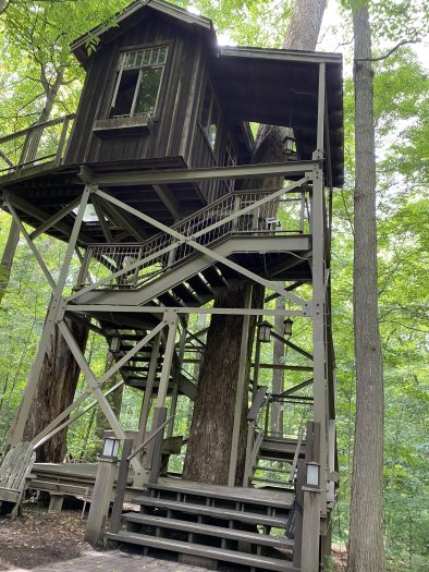 A set of stairs leads up to a tall wooden and metal tree house sitting among green trees