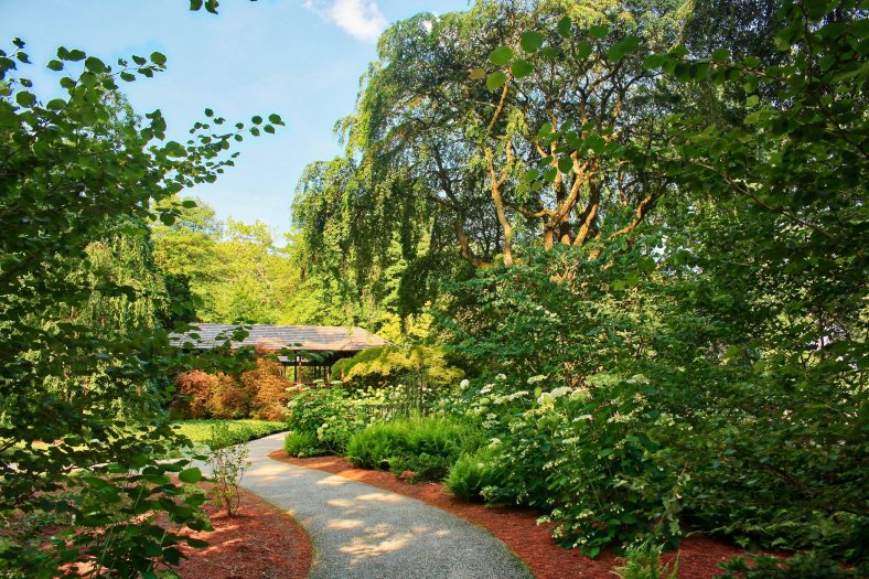A path winds through a walkway of green trees and bushes