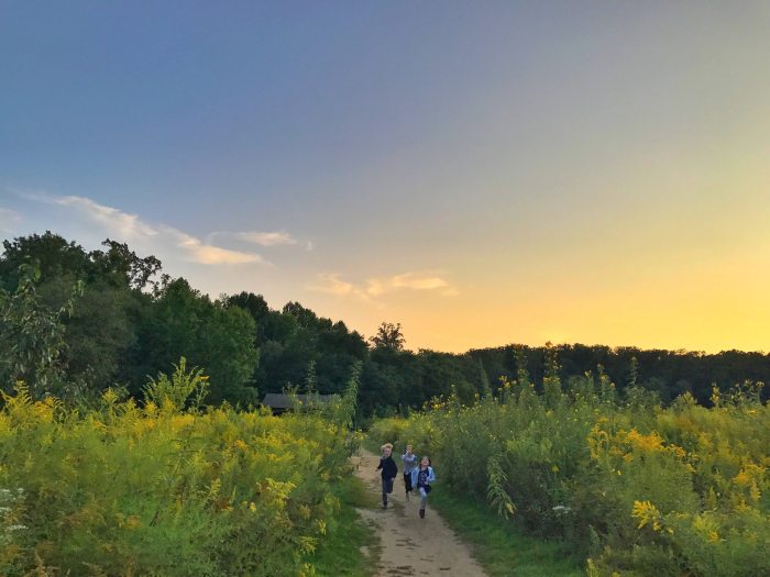 Two small children run down a dirt path through a field of green and yellow plants at sunset