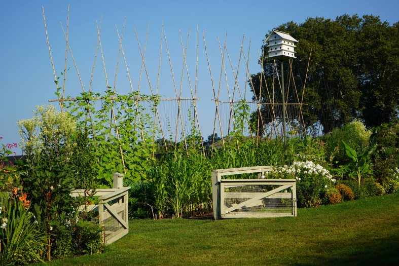 A wide shot does an open wooden gate leading into a vegetable garden full of plants and a tall white birdhouse against a blue sky