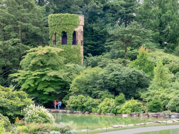 A large stone Chimes Tower covered in green vines pops up amid green trees behind a small pond 