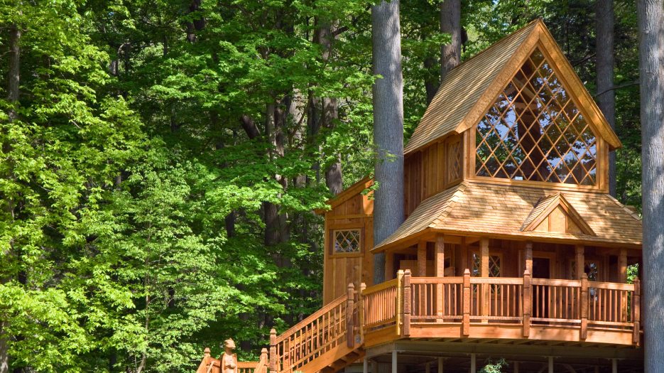 the canopy cathedral treehouse on a sunny spring day