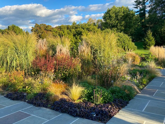 Sun shines on a collection of red, green, and yellow shrubs and other plants in a garden bed along a stone walkway outside