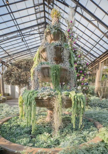 A stone fountain is covered in green succulents and and other plants stands under the glass ceiling of a conservatory