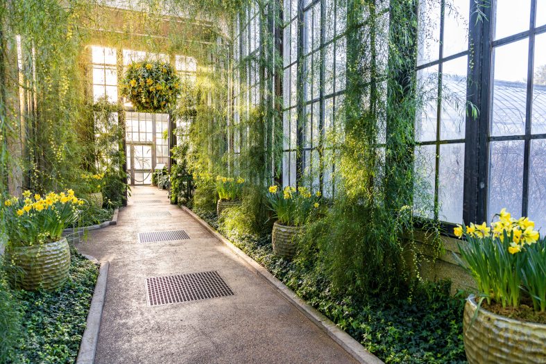 sun shines through glass windows into a long hallway with green plants, yellow flowers, and hanging baskets