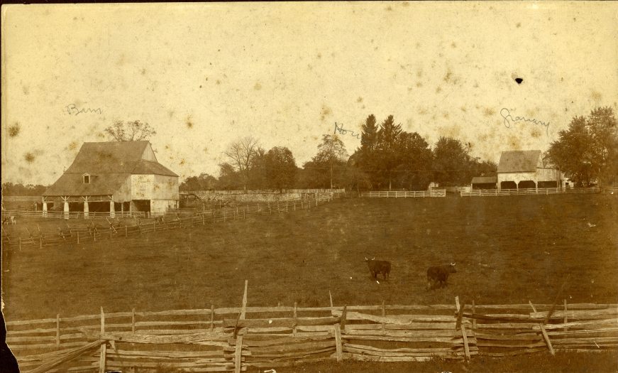 sepia tone image of an old farm with two cows in the paddock