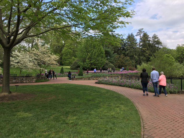 people walking in outdoor gardens