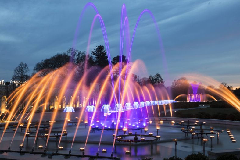 Illuminated orange and purple fountains arch over a water area 