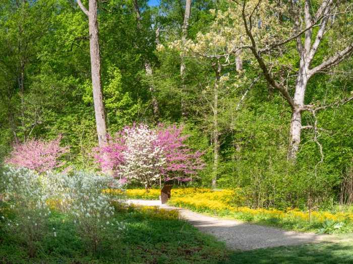 A stone pathway leads into a meadow garden with pink and white trees