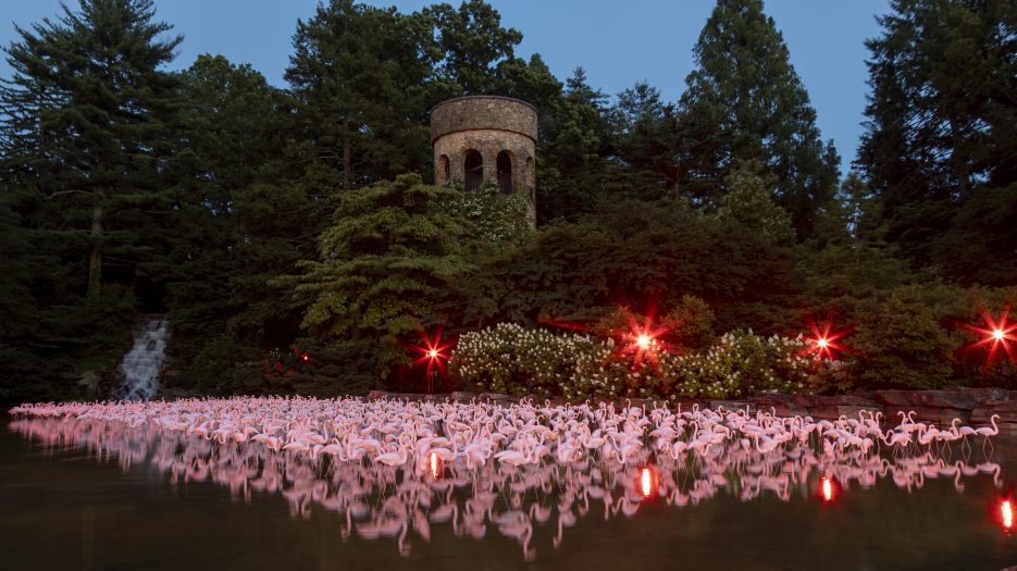 a large flock of imitation flamingoes, lit pink by light, are reflected by the pond in which they stand