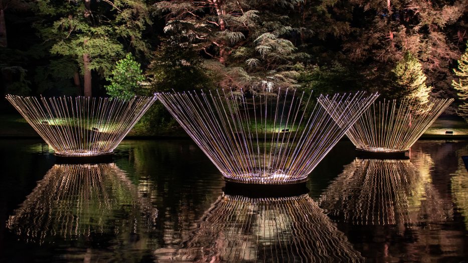 Three fountains of light reflected in water, while lighting up trees in the background