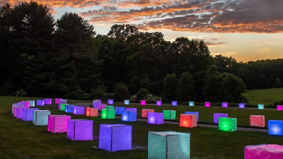 cubes lit up in rainbow colors arrayed on a green lawn against a backdrop of trees and a dusk-colored sky
