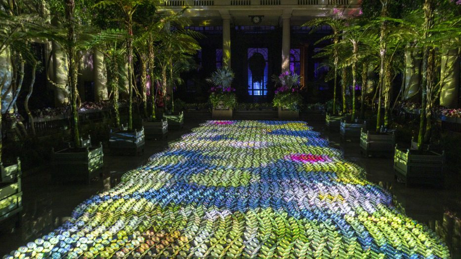 Reflective discs on a garden floor reflect colored light onto the surrounding plants