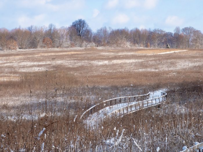 large snow-covered meadow with swaths of tall dried grasses