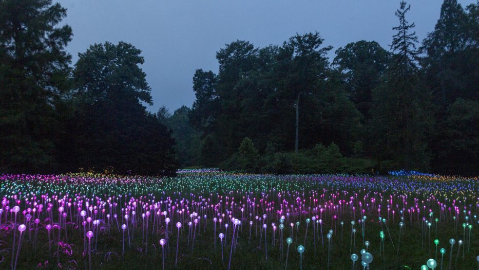 a dusk shot of a field with thousands of colorful lit bulbs