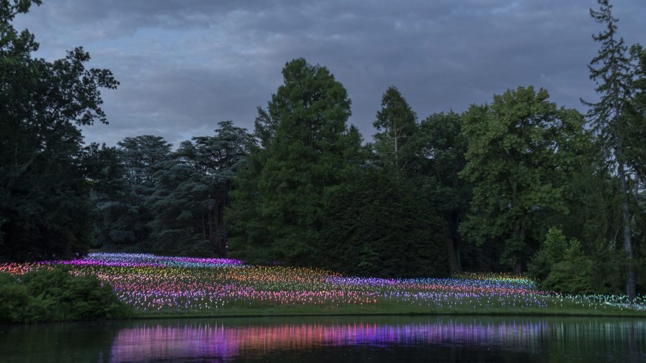 a field of multi-colored lights, against a backdrop of trees and dark clouds, reflect in a lake in the foreground