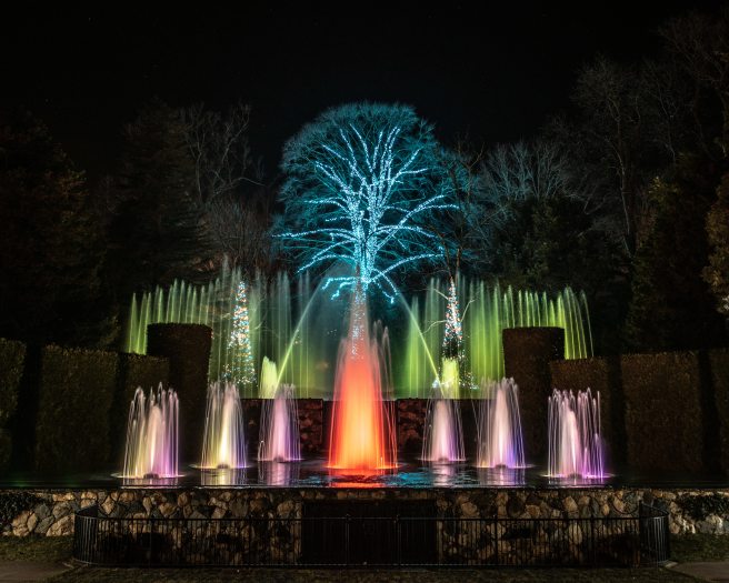 illuminated fountains in pastel shades of purple, orange, and green in front of a tall tree wrapped in aqua colored Christmas lights at night